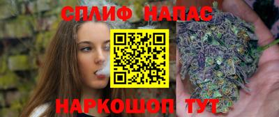 гашик Нальчик