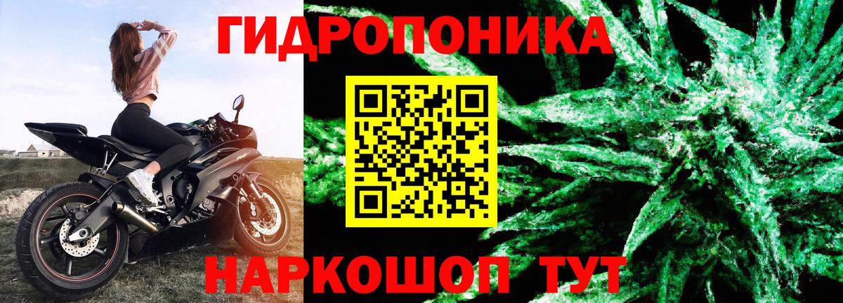 Бошки марихуана планчик Благодарный